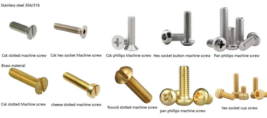 Stainless Steel Machine Screw /Self Tapping Drilling Screw/Set Screw/Furniture Screw/Roofing Screws