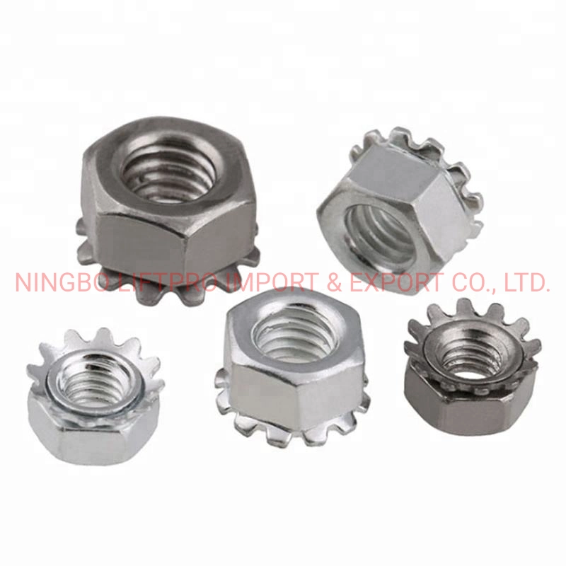Stainless Steel SS316 SS316L Metric Hex Head Toothed Kep Lock Nut