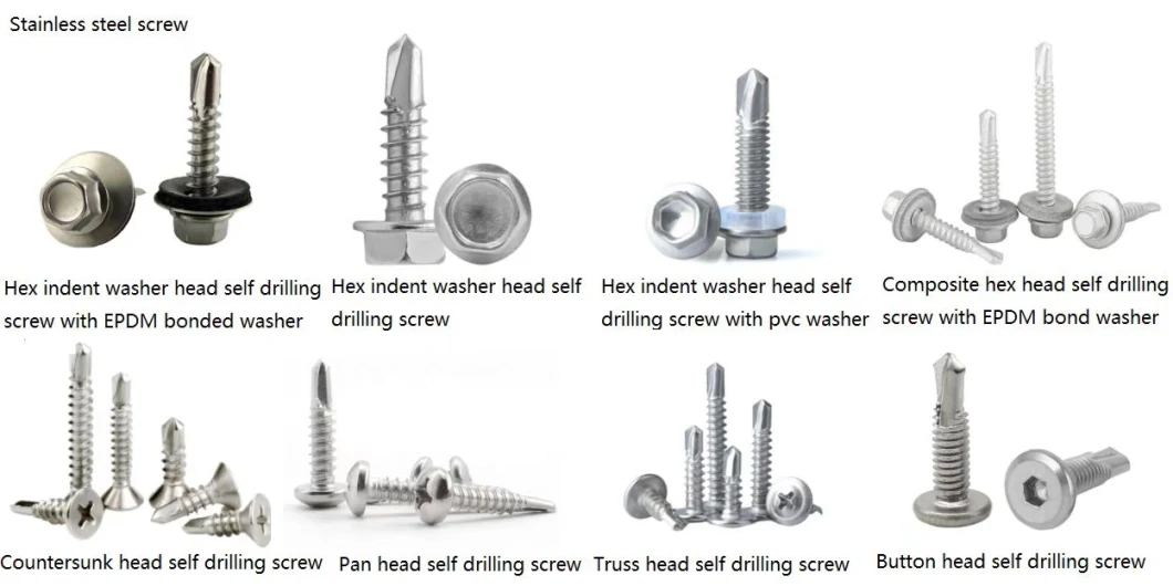 Stainless Steel Machine Screw /Self Tapping Drilling Screw/Set Screw/Furniture Screw/Roofing Screws