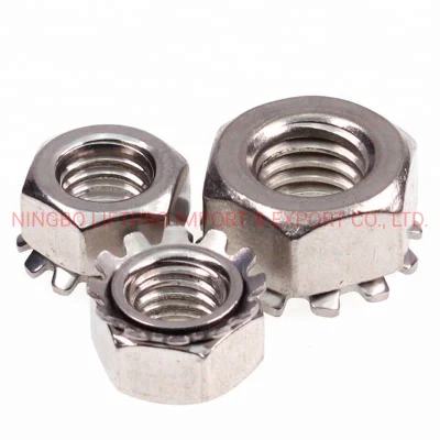 Stainless Steel SS316 SS316L Metric Hex Head Toothed Kep Lock Nut