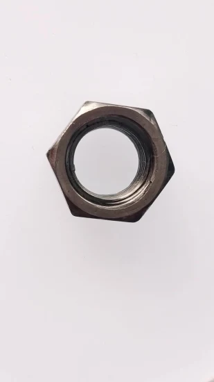 China Factory Wholesale Fasteners Stainless Steel Nylon Insert Hex Flange Lock Nut DIN6926