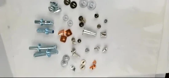 OEM Bolts, Screws, Wood Screws, Tapping Screws, Turning The Screw, The Combination of Screws, Nuts, Fittings, Flat Mat, Ring,Rivet, Various Kinds of Fasteners.