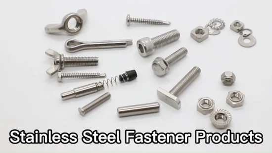 Factory Price Fastener Product SS304 M6/M8/M10 Wing Nut for Industry